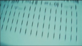 Sweet Home - Season 01 Episode 01